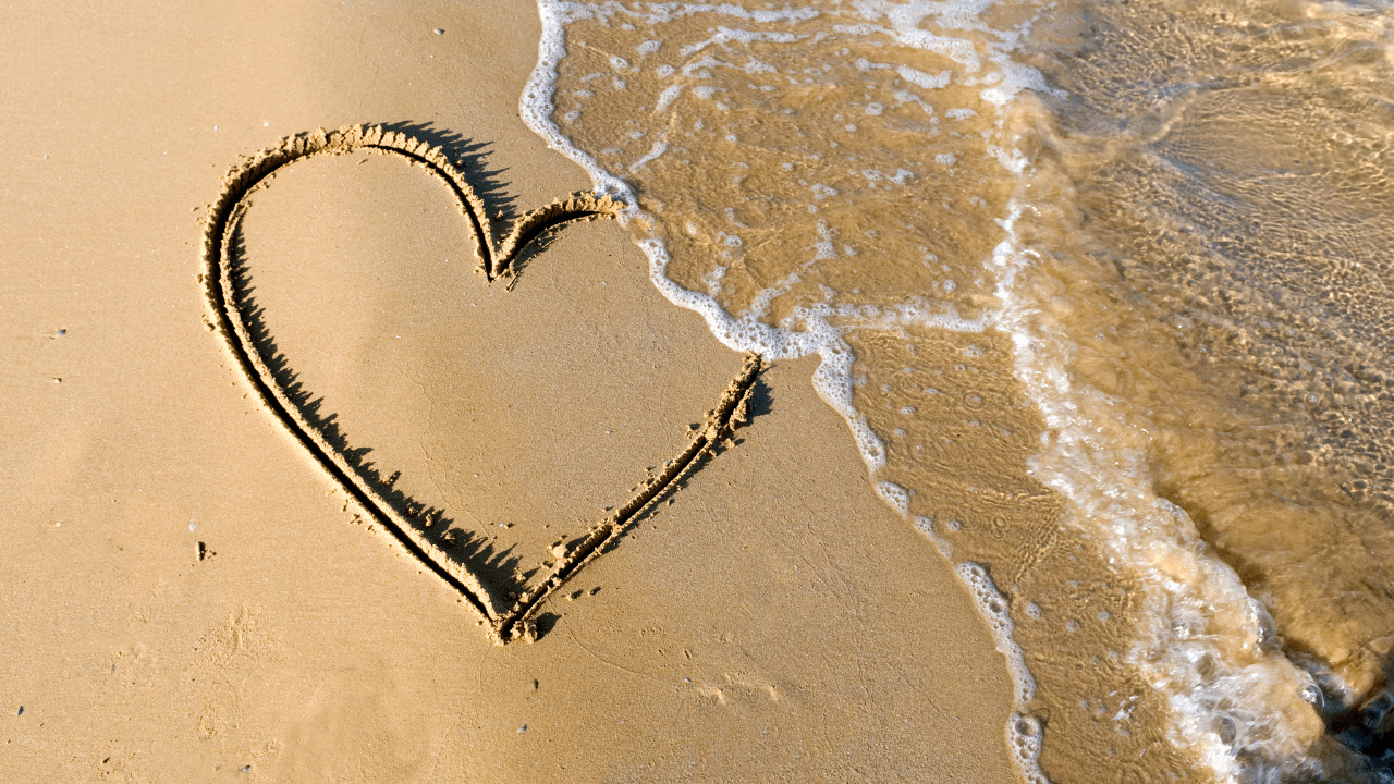 Amor y Amistad